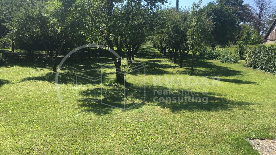 real estate main image
