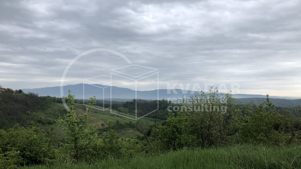 real estate main image