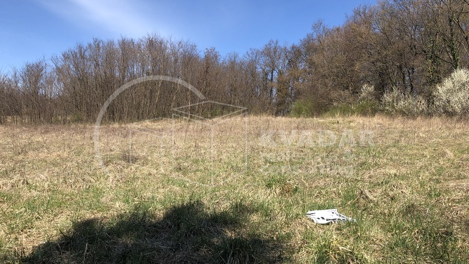 real estate main image