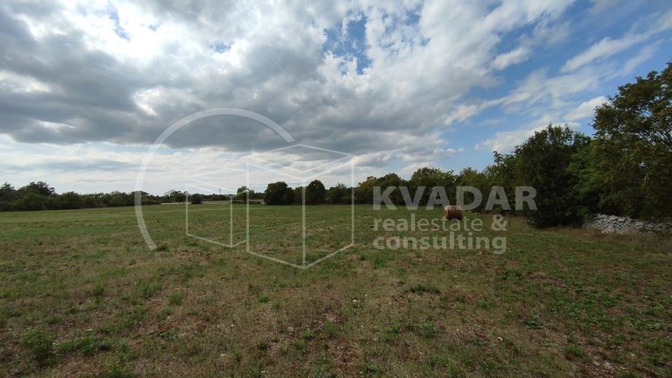 Land, 9964 m2, For Sale, Filipana