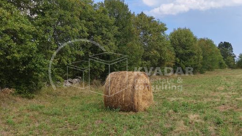 Land, 9964 m2, For Sale, Filipana