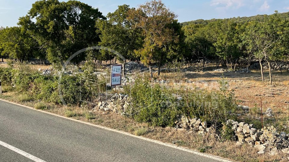 Prostrani teren pravilnog oblika uz cestu za Bol - otok Brač -Gornji Humac