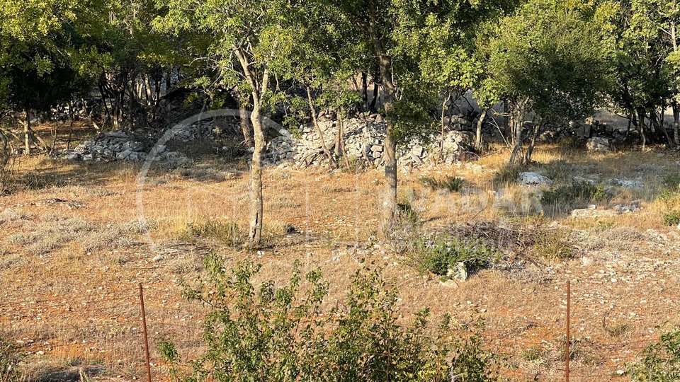 Prostrani teren pravilnog oblika uz cestu za Bol - otok Brač -Gornji Humac