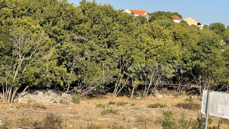 Prostrani teren pravilnog oblika uz cestu za Bol - otok Brač -Gornji Humac